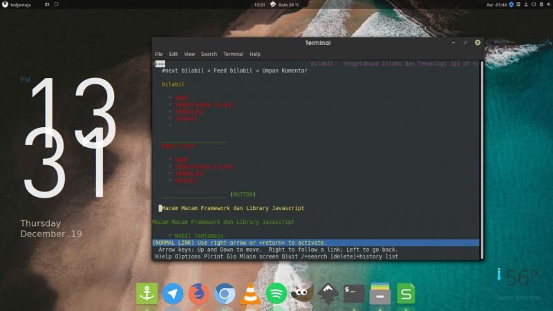 Web browser di terminal